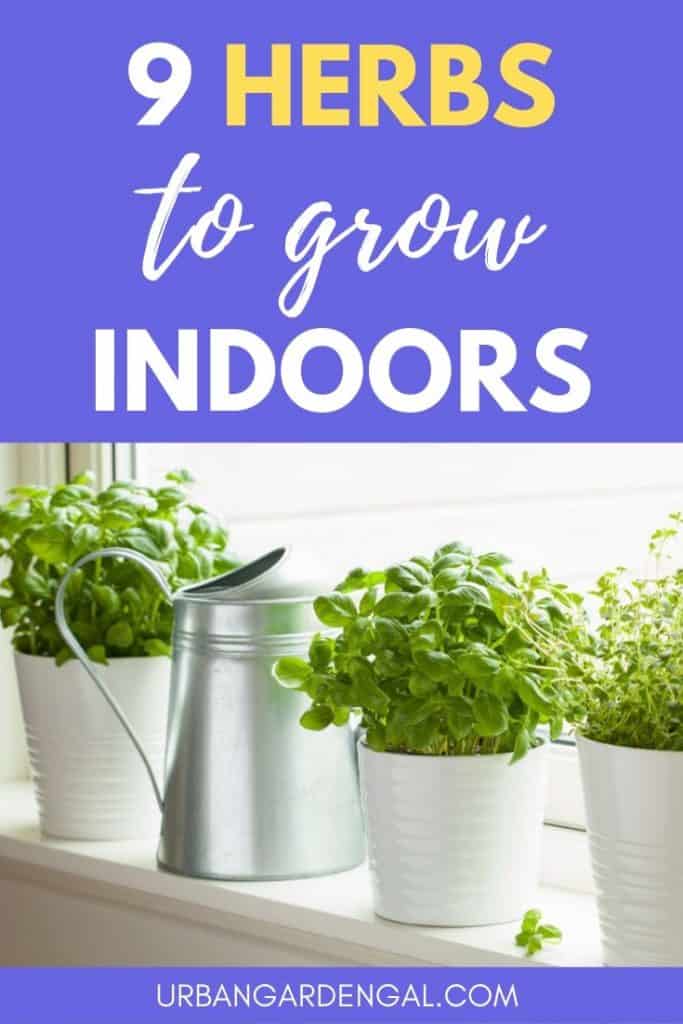 9 Best Herbs to Grow Indoors - Urban Garden Gal